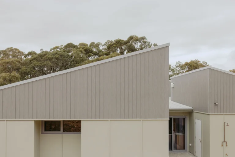 Exterior showing angled skillion roof forms and vertical timber-look cladding against bushland