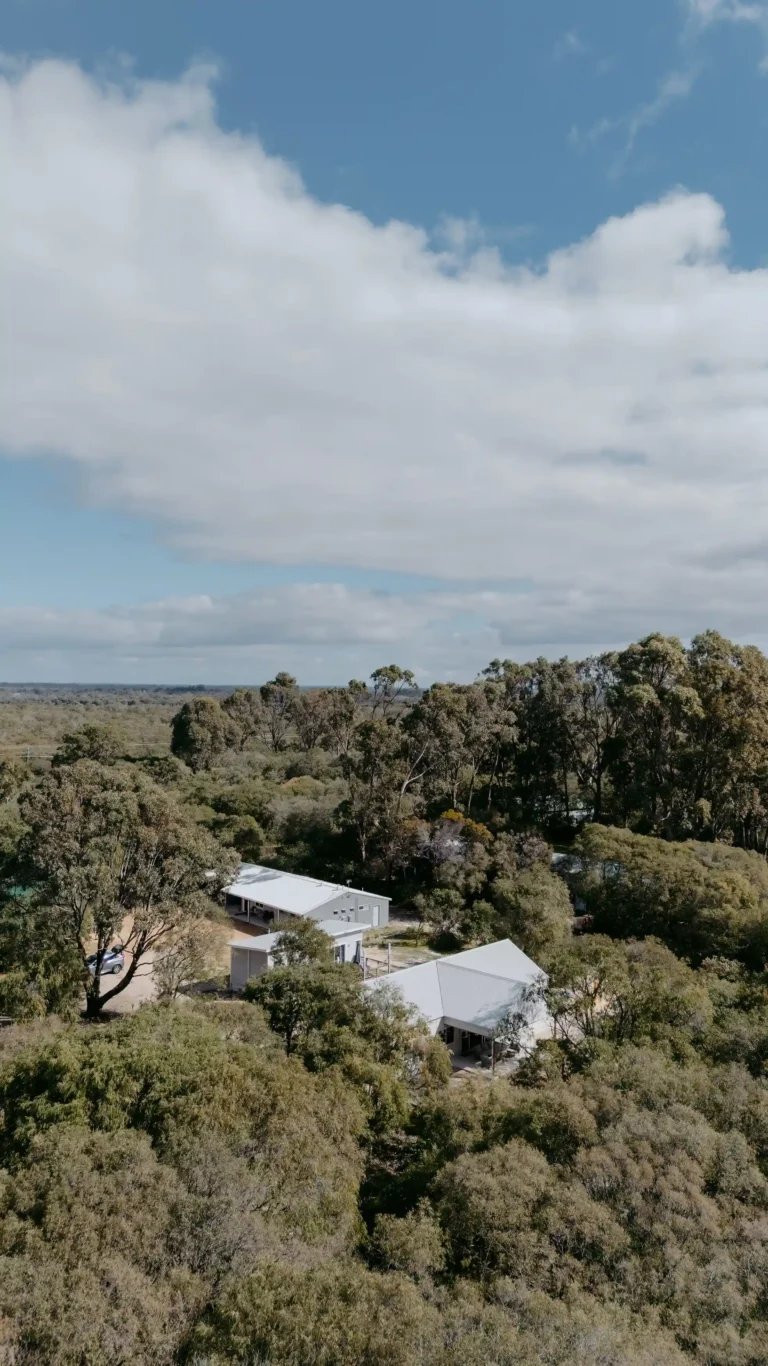 Aerial view of the Kyle Andrews Foundation Cabin buildings among tall gums in Siesta Park
